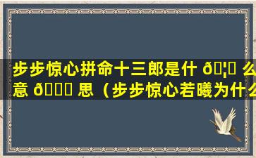 步步惊心拼命十三郎是什 🦁 么意 💐 思（步步惊心若曦为什么叫拼命十三妹）